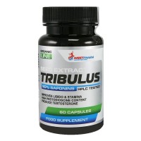 WestPharm Tribulus 500 мг 60 кап